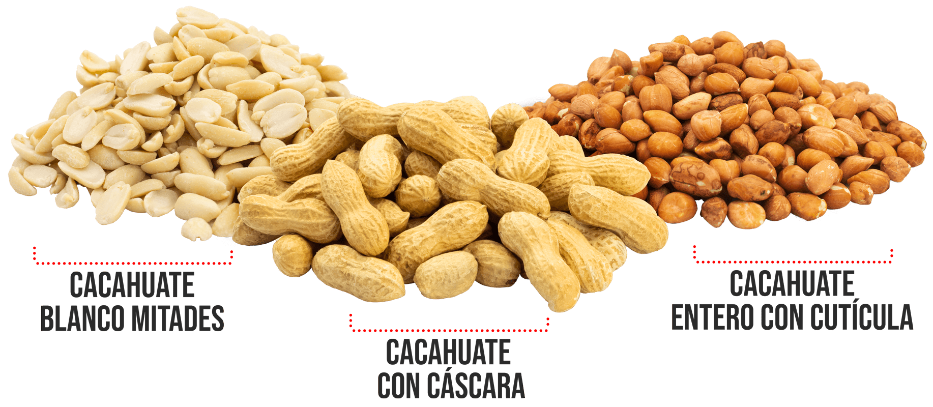 cacahuates_variedad-min (1)